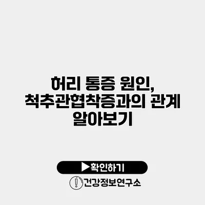 허리 통증 원인, 척추관협착증과의 관계 알아보기