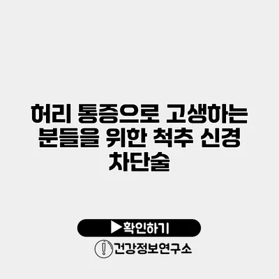 허리 통증으로 고생하는 분들을 위한 척추 신경 차단술