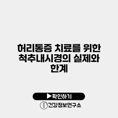 허리통증 치료를 위한 척추내시경의 실제와 한계