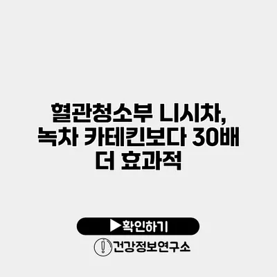 혈관청소부 니시차, 녹차 카테킨보다 30배 더 효과적