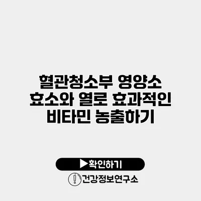 혈관청소부 영양소 효소와 열로 효과적인 비타민 농출하기