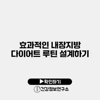 효과적인 내장지방 다이어트 루틴 설계하기