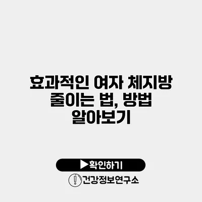 효과적인 여자 체지방 줄이는 법, 방법 알아보기