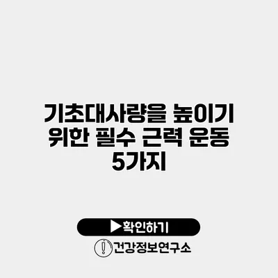 기초대사량을 높이기 위한 필수 근력 운동 5가지