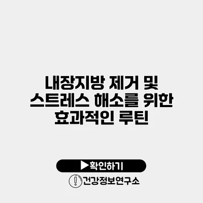 내장지방 제거 및 스트레스 해소를 위한 효과적인 루틴