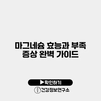 마그네슘 효능과 부족 증상 완벽 가이드