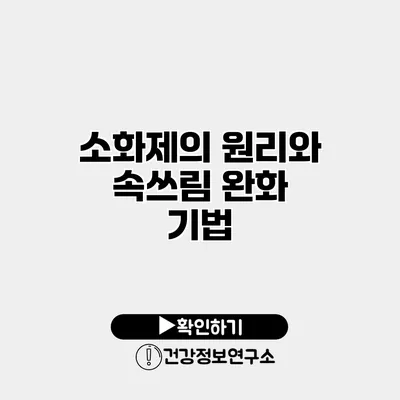 소화제의 원리와 속쓰림 완화 기법