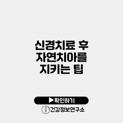 신경치료 후 자연치아를 지키는 팁