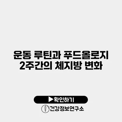 운동 루틴과 푸드올로지 2주간의 체지방 변화