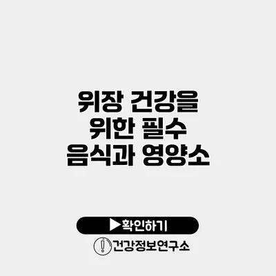 위장 건강을 위한 필수 음식과 영양소