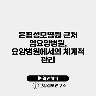 은평성모병원 근처 암요양병원, 요양병원에서의 체계적 관리